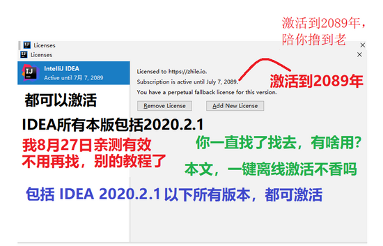 據說這個是可以擼到2089年的idea2020.2(推薦)