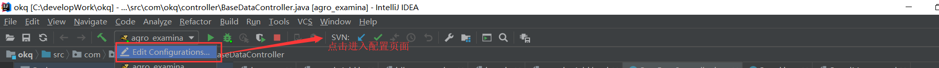 idea 無法debug調試的解決方案