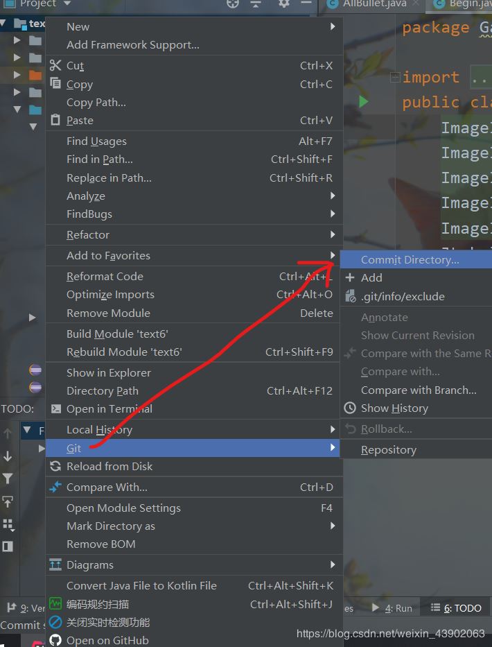 如何把idea中的項(xiàng)目導(dǎo)入github倉庫中(圖文詳解)