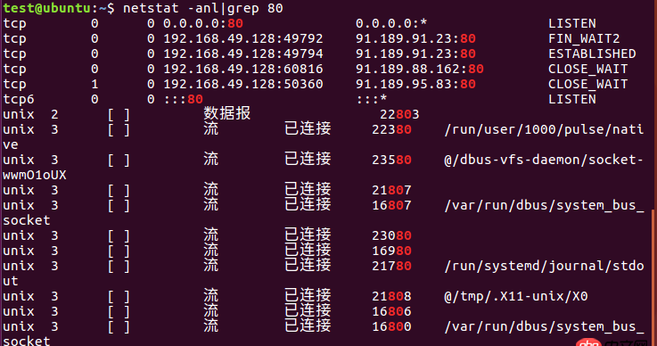 nginx這樣是在運行嗎？