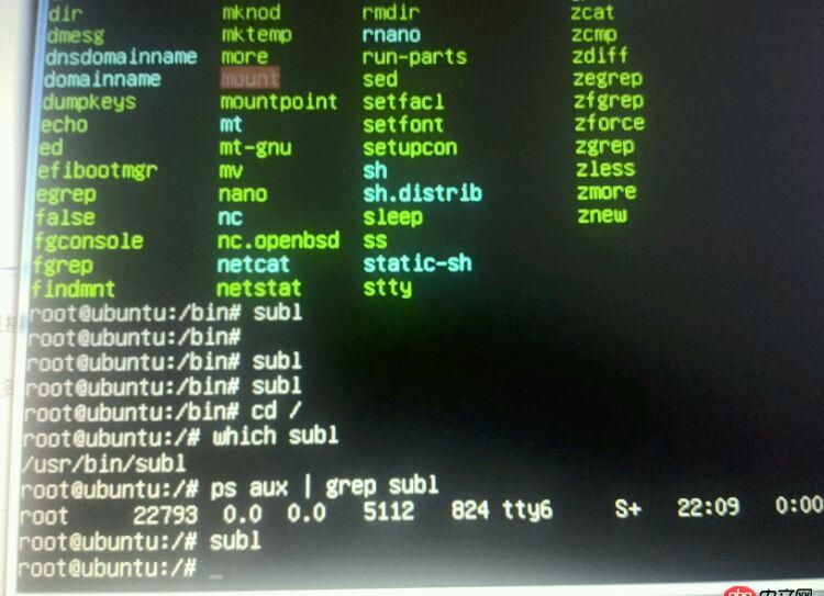ubuntu如何啟動sublime