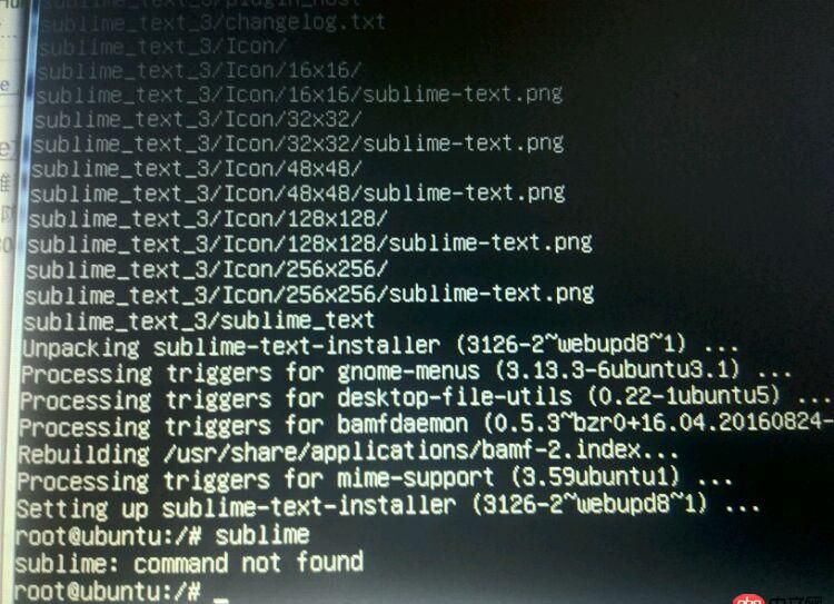 ubuntu如何啟動sublime