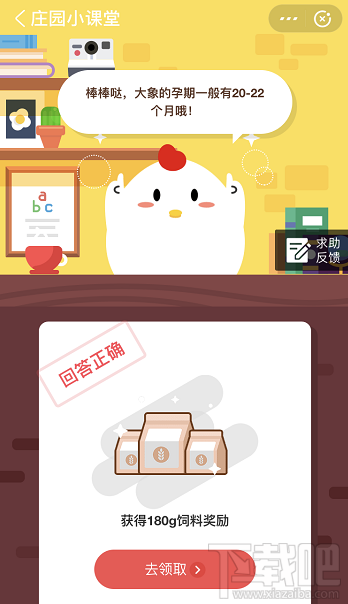 支付寶螞蟻莊園5月8日答案 大象一般懷孕多久才能生下一個象寶寶