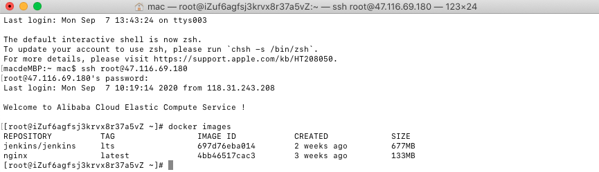 基于Docker、Nginx和Jenkins實現前端自動化部署