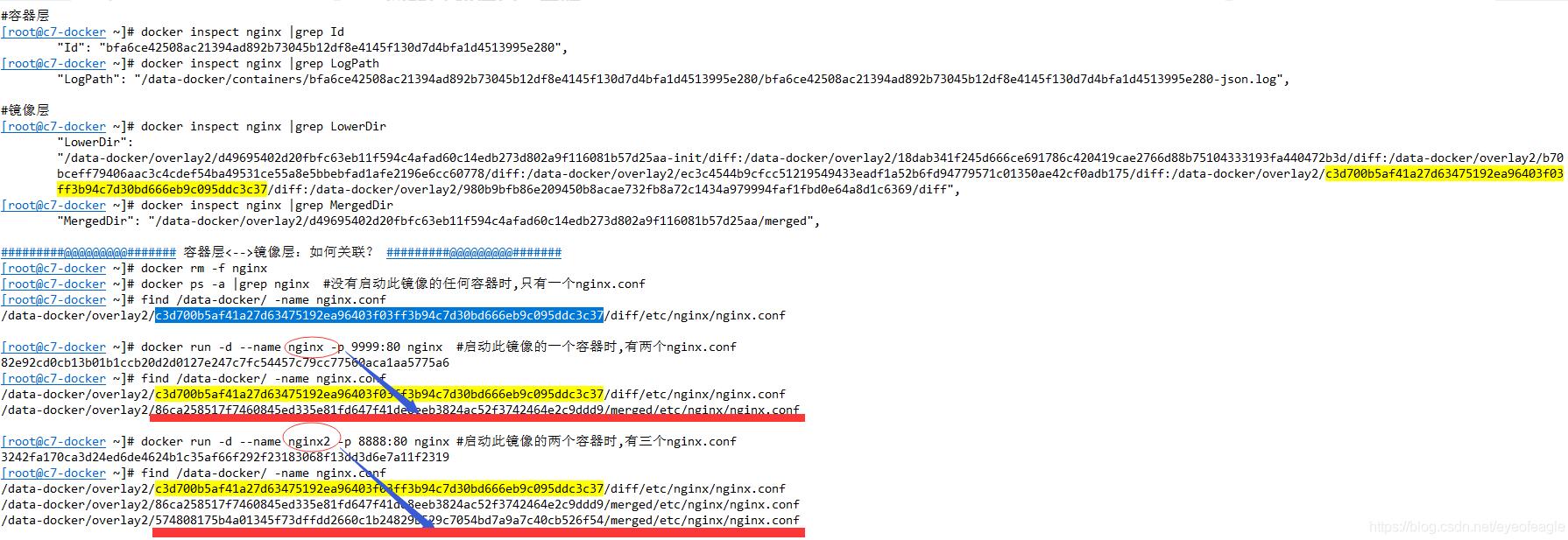 docker 文件存放路徑, 修改端口映射操作方式