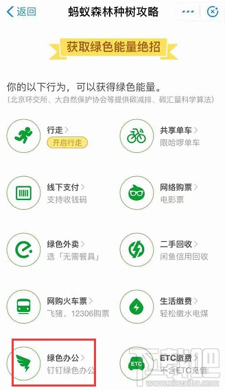 釘釘班級(jí)樹能量不足怎么辦？班級(jí)樹能量獲取方法