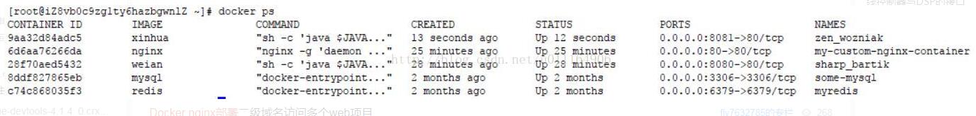 docker nginx實(shí)現(xiàn)一個(gè)主機(jī)部署多個(gè)站點(diǎn)操作