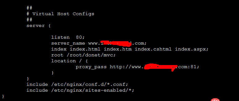 nginx這個反向代理配的有問題嗎？