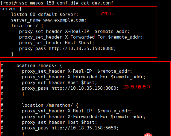 mesos - nginx反向代理配置問題