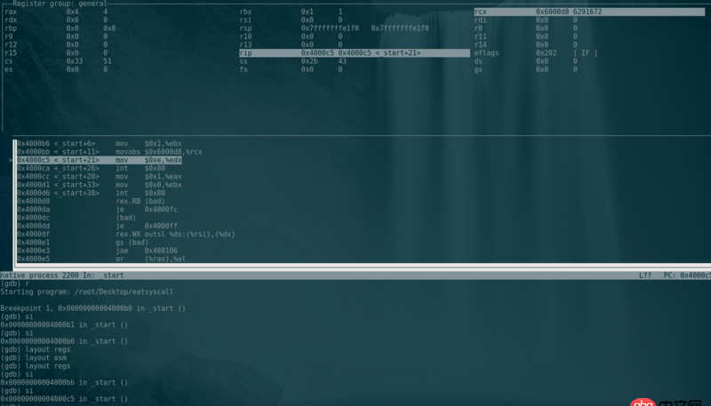 linux - GDB 調試 ASM文件 查看執行到第幾行