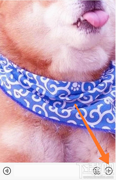 微信紅包封面序列號怎么添加？