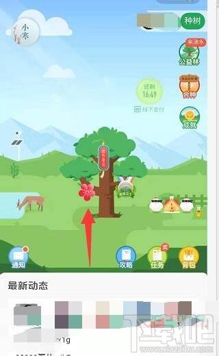 支付寶螞蟻森林梅花掛件怎么領取？