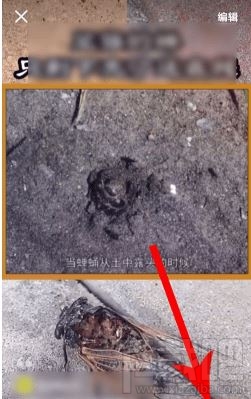 2019我的快手影集怎么制作?2019我的快手影集圖文教程分享