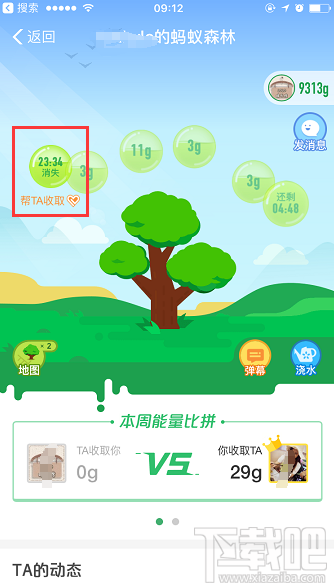 支付寶螞蟻森林增加新功能 可幫好友收能量