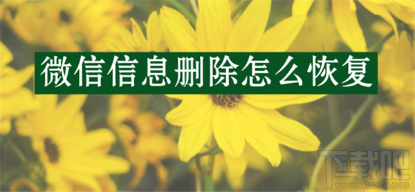 蘋果手機(jī)微信信息刪除怎么恢復(fù)?