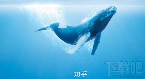 知乎知卡怎么樣？知乎知卡資費介紹