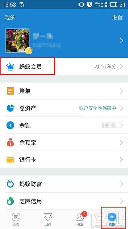 怎么看支付寶等級？怎么看自己是不是支付寶鉑金會員？