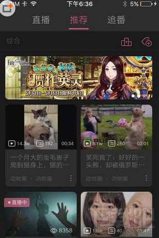 嗶哩嗶哩怎么舉報彈幕?嗶哩嗶哩舉報彈幕方法