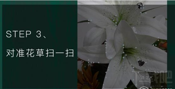 qq瀏覽器怎么識別花草？qq瀏覽器識你所見怎么玩