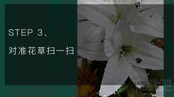 QQ瀏覽器識你所見是什么?QQ瀏覽器識你所見怎么玩?