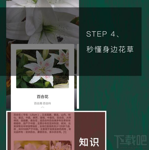 QQ瀏覽器識你所見是什么?QQ瀏覽器識你所見怎么玩?