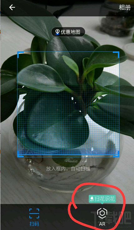 支付寶掃花識花功能怎么玩?