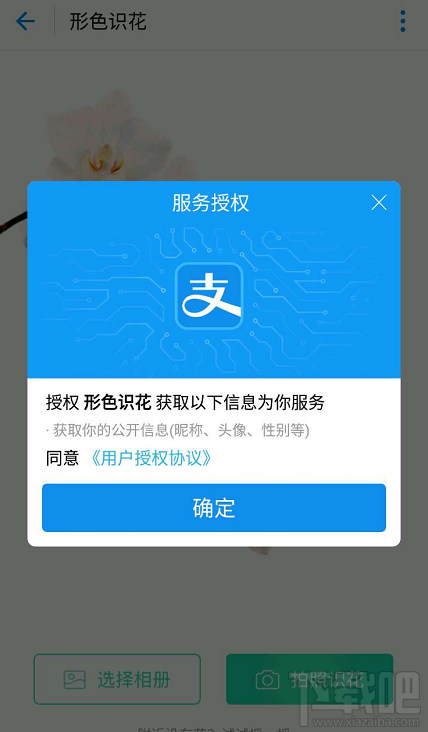 支付寶掃花識花功能怎么玩?