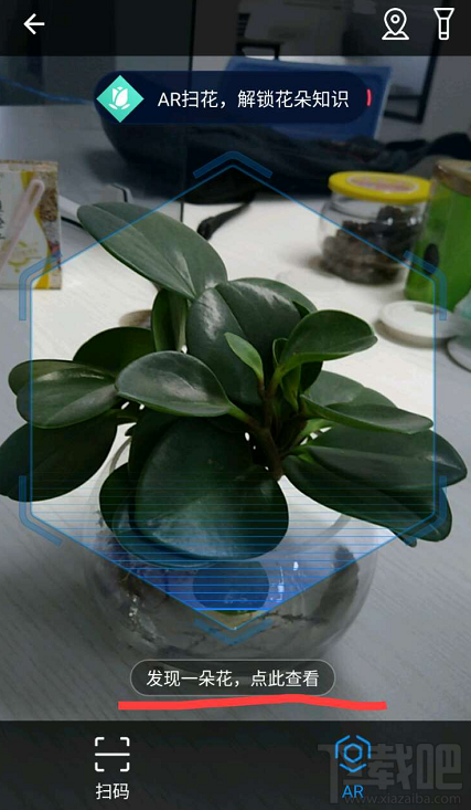 支付寶掃花識花功能怎么玩?