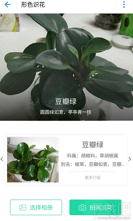 支付寶掃花識花功能怎么玩?