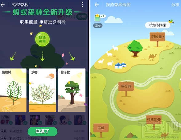 支付寶螞蟻森林新增沙柳/樟子松需要多少能量？