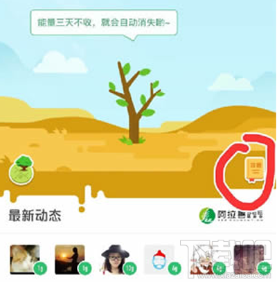 螞蟻森林釘釘怎么能量收集