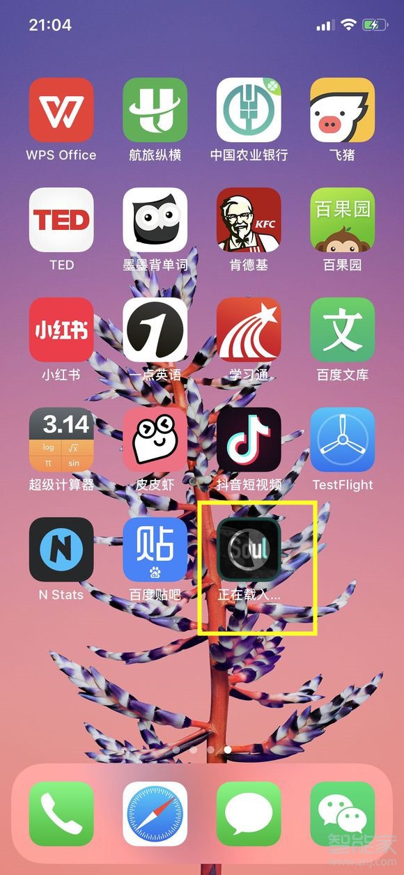 蘋果x為什么下載不了soul