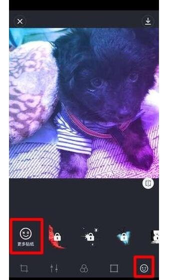 vaporcam怎么使用？使用vaporcam的方法介紹