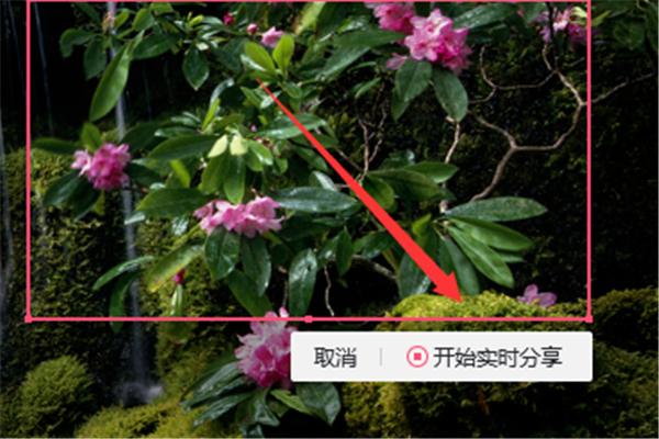 群課堂怎么分享屏幕