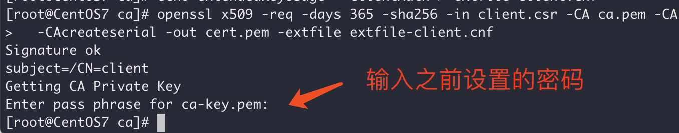 Docker開啟遠程安全訪問的圖文教程詳解