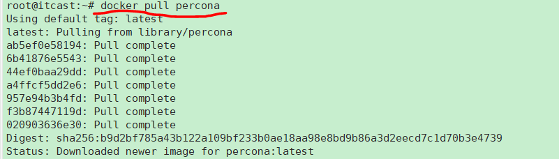 Docker創建容器時目錄權限踩坑