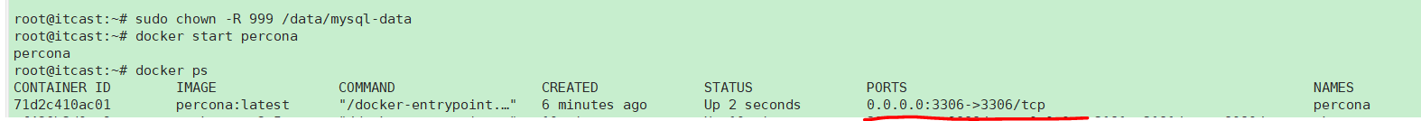 Docker創建容器時目錄權限踩坑