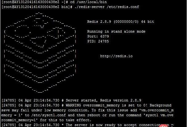 redis啟動有問題?