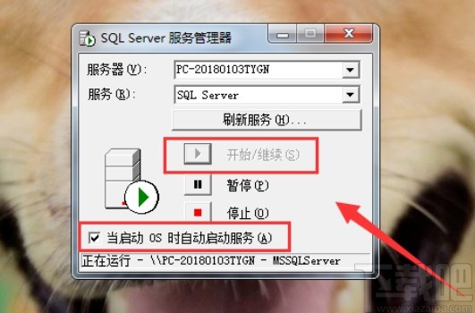 SQL Server打開服務管理器的方法