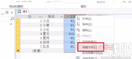 Microsoft Office Access隱藏和顯示字段的方法