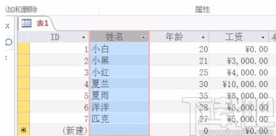 Microsoft Office Access隱藏和顯示字段的方法