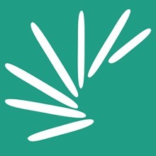 扇貝單詞詳細玩法介紹