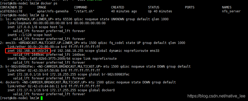 使用Docker的NFS-Ganesha鏡像搭建nfs服務器的詳細過程