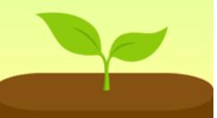 forest如何更改標簽？更改標簽的步驟分享