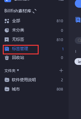 Billfish設置標簽方法介紹
