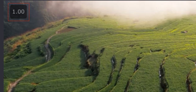 video speed controller設置倍數步驟介紹