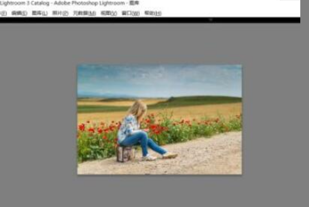 lightroom設(shè)置dng保存格式步驟介紹