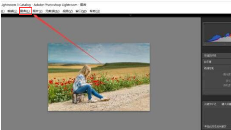 lightroom設(shè)置dng保存格式步驟介紹