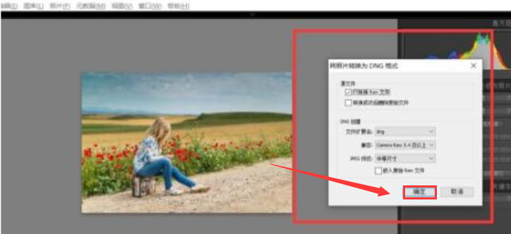 lightroom設(shè)置dng保存格式步驟介紹