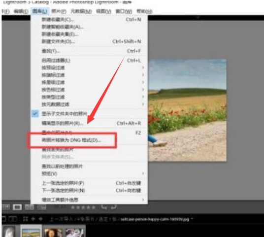 lightroom設(shè)置dng保存格式步驟介紹